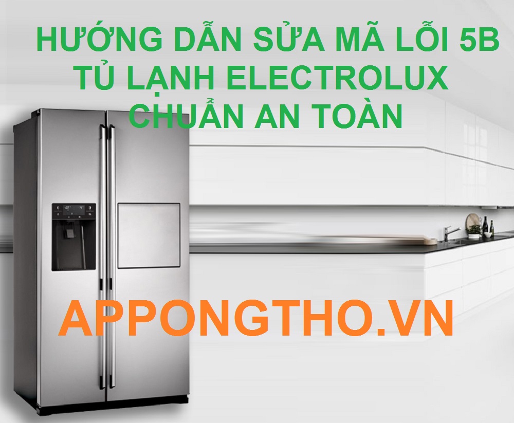 Dịch vụ sửa lỗi 5B tủ lạnh Electrolux Side By Side Inverter