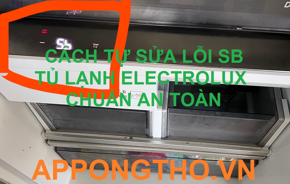 Lỗi SB tủ lạnh Electrolux có thể tự khắc phục được không?