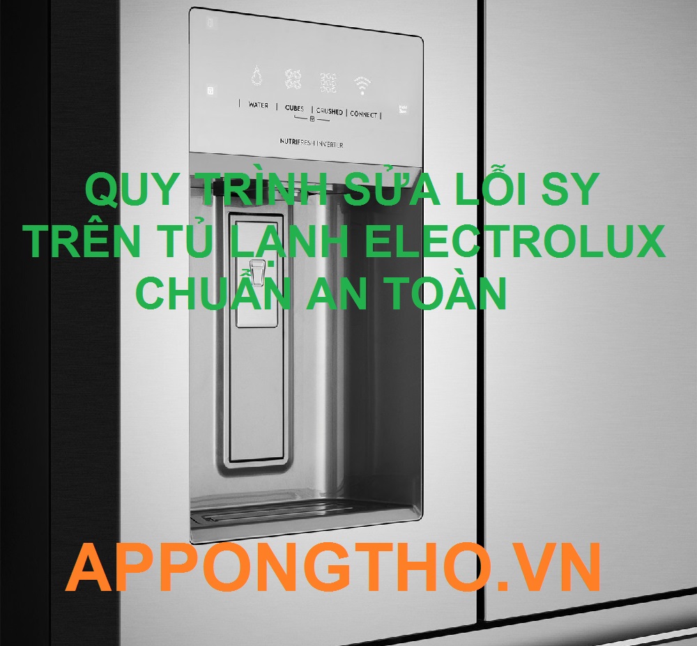 Dịch Vụ Sửa Lỗi SY Tủ Lạnh Electrolux Side by side