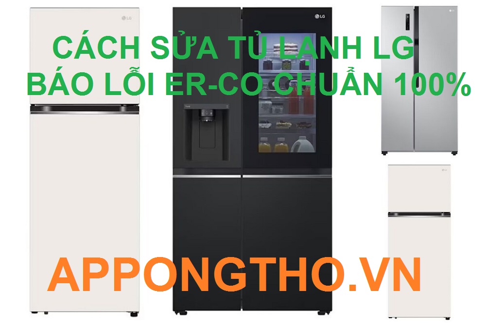 Tìm hiểu về lỗi ER-CO trên tủ lạnh LG có cần thiết không?
